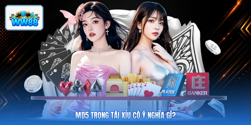 MD5 Trong Tài Xỉu Có Ý Nghĩa Gì?